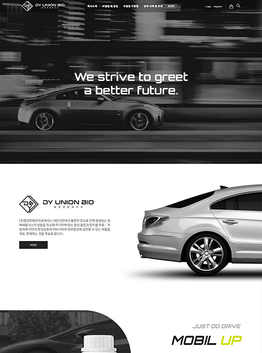 Portfolio Image